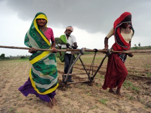 indian women farmers