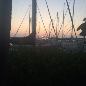 Table views at La Mariana Sailing Club 