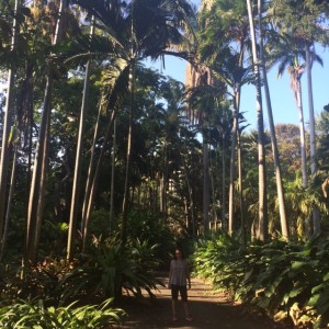 Dwarfed by the palms at Foster Gardens