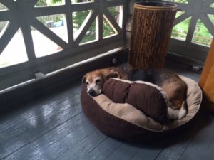 charlie on sleeping porch