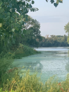 Lake of the Isles