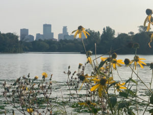 View of downtown from Lake of the Isles