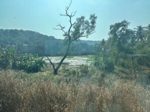 View from the train between Karnataka and Goa